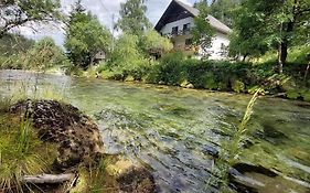 The Riverside Chill Hostel
